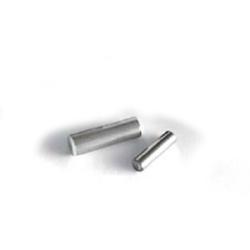 Ghost Trap DS Cartridge, 4.0 x 20mm, 2/pk
